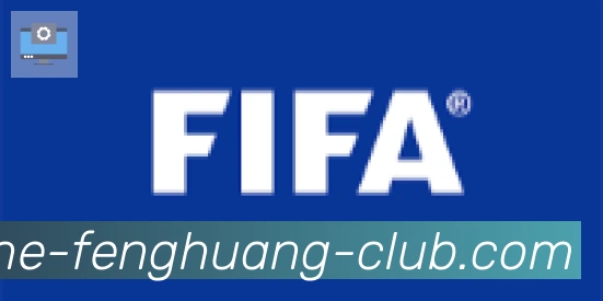 凤凰体育合作伙伴