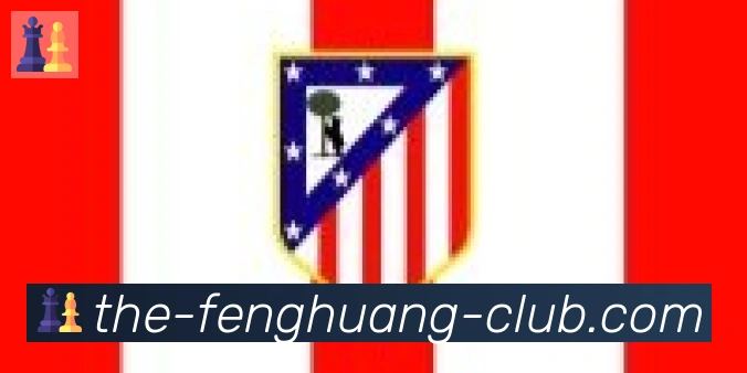 凤凰体育合作伙伴